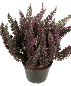 Ljung Lila - Kunstig Plante - 28 cm - www.frokenfraken.se