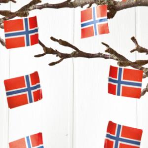 Girlander – Vimpler – Norske flagget – 2 stk - 2 m - www.frokenfraken.se