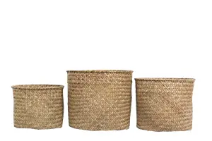 Kurver - Natur - 3 størrelser - www.frokenfraken.se