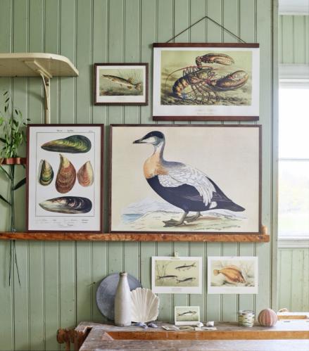 Plakat - Vintage - Rödspätta - 18 x 24 cm - www.frokenfraken.se
