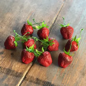Jordbær - 10-pakning - www.frokenfraken.se
