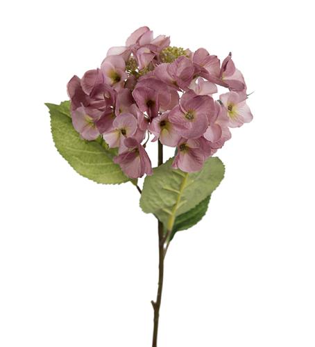 Hortensia - Mørkrosa - 45 cm - www.frokenfraken.se