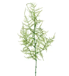 Plumosus - Grønn - 50 cm - www.frokenfraken.se