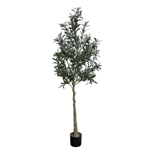 Oliventre – 170 cm - www.frokenfraken.se
