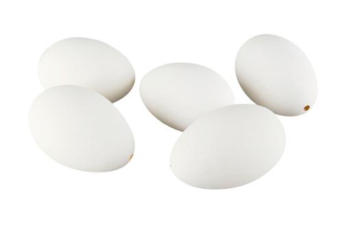 Gås-egg - 1 stk - www.frokenfraken.se