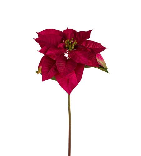 Julstjerne - Rød - 70 cm - www.frokenfraken.se