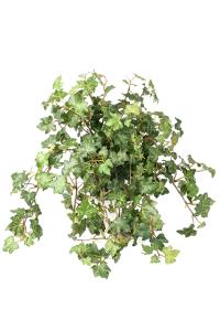 Murgrønn - Kunstig plante - 40 cm - www.frokenfraken.se