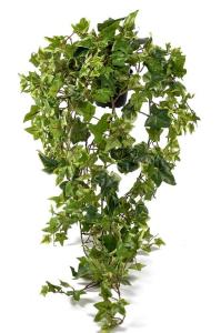 Murgrønn - Kunstig plante - 85 cm - www.frokenfraken.se