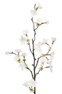 Kirsebærgren - Hvit - 60 cm - www.frokenfraken.se
