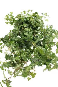 Eføy - Kunstig Plante - 85 cm - www.frokenfraken.se