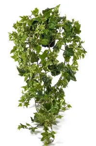 Murgrønn - Kunstig plante - 85 cm - www.frokenfraken.se
