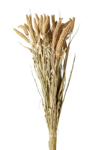 Torket Kavelhirs - 100g - Natur - 65/75 cm - www.frokenfraken.se