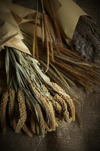 Torket Kavelhirs - 100g - Natur - 65/75 cm - www.frokenfraken.se
