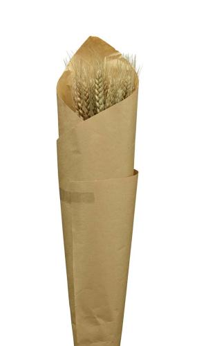 Torket hvete - 70g - Natur - 70/75 cm - www.frokenfraken.se