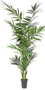 Kentia palme - Kunstig plante - 210 cm - www.frokenfraken.se