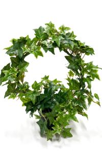 Murgrønn på bue - Kunstig plante - 35 cm - www.frokenfraken.se