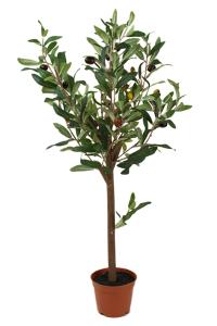 Oljetre - Kunstig Plante - 60 cm - www.frokenfraken.se