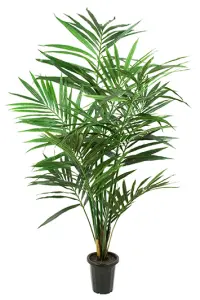 Kentia-palme - Kunstig plante - 180 cm - www.frokenfraken.se