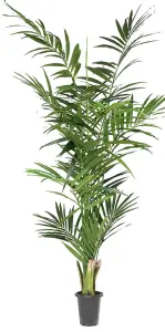 Kentia palme - Kunstig plante - 210 cm - www.frokenfraken.se