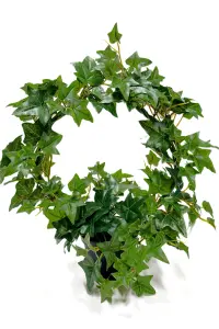 Murgrønn på bue - Kunstig plante - 35 cm - www.frokenfraken.se