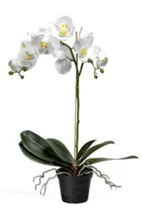 Phalaenopis - Orkide Hvit - Kunstig Plante - 55 cm - www.frokenfraken.se