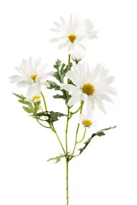 Prestekrage - Naturtro kunstig blomst - www.frokenfraken.se