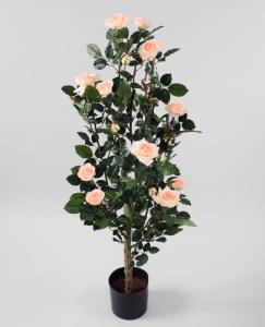 Rosenträd - Rosa - 120 cm - www.frokenfraken.se