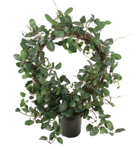 Stephanotis - Kunstig plante - 75 cm - www.frokenfraken.se
