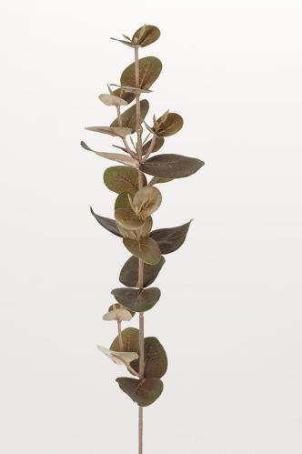 Eukalyptus - 40 cm - www.frokenfraken.se