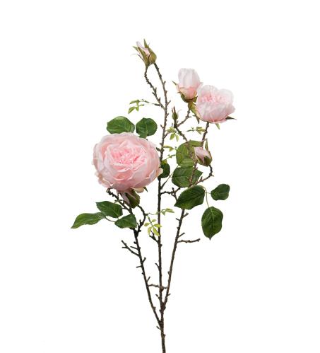 Kvistros - Rosa silke rose - 90 cm - www.frokenfraken.se