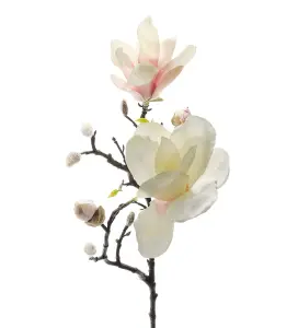 Magnolia - Hvitt/Rosa - 60 cm - www.frokenfraken.se
