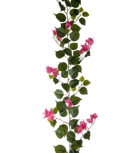 Bougainvillea Girlang - 180 cm - www.frokenfraken.se