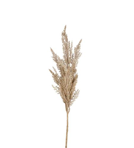 Pampasgress - Natur - 80 cm - www.frokenfraken.se