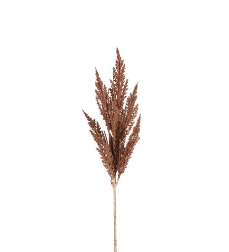 Pampasgress - Brun - 80 cm - www.frokenfraken.se