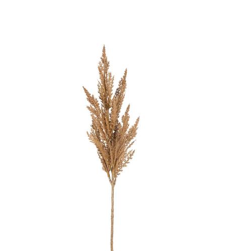 Pampasgress - Beige - 80 cm - www.frokenfraken.se