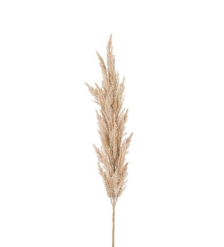 Pampasgress - Natur - 150 cm - www.frokenfraken.se
