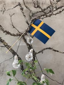 Svenske flagg - 6 papirflagg med trepinne - 15 x 20 cm - www.frokenfraken.se