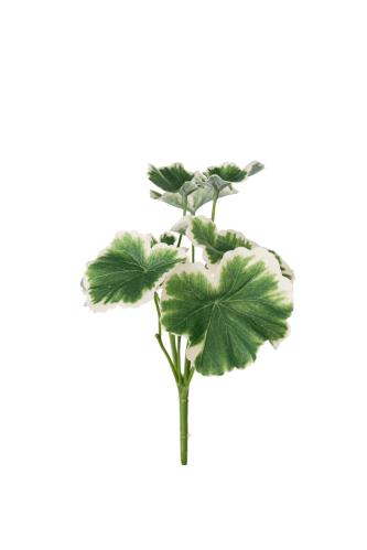 Geranium - Grønn - 24 cm - www.frokenfraken.se