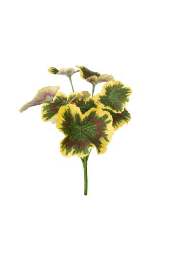 Geranium - Grønn - 24 cm - www.frokenfraken.se