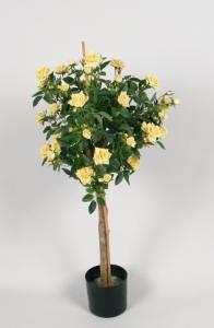 Rosenträd - Gul - 110 cm - www.frokenfraken.se