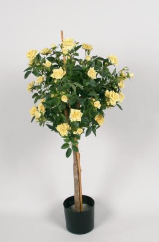 Rosenträd - Gul - 110 cm - www.frokenfraken.se