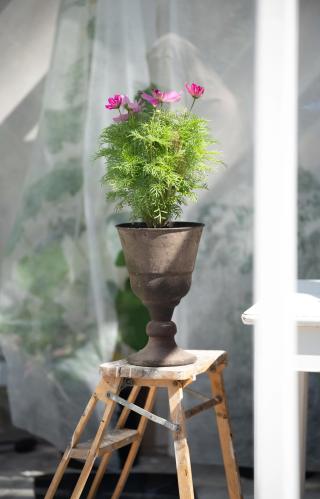Krukke - Pokal - Rust - 21 x 33 cm - www.frokenfraken.se