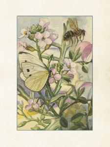 Plakat - Vintage - Sommerfugl & bie - 18 x 24 cm - www.frokenfraken.se