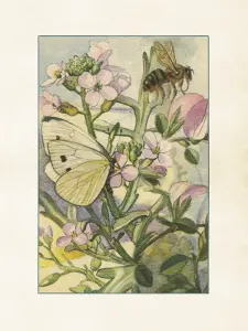 Plakat - Vintage - Sommerfugl & bie - 18 x 24 cm - www.frokenfraken.se