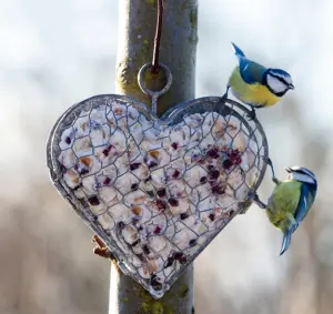 Hjerte - I hønsenetting - 25 x 25 cm - www.frokenfraken.se