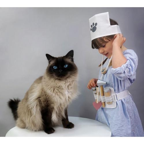 Veterinærbelte - Leketøy - www.frokenfraken.se