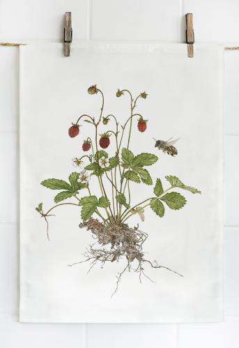 Kjøkkenhåndkle - Skogsbjørnebær - 47 x 60 cm - www.frokenfraken.se