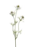 Nigella - Hvit - 60 cm - www.frokenfraken.se