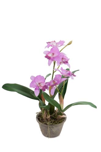 Lilla - 60 cm - www.frokenfraken.se