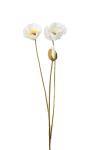 Valmue - Hvit - 75 cm - www.frokenfraken.se